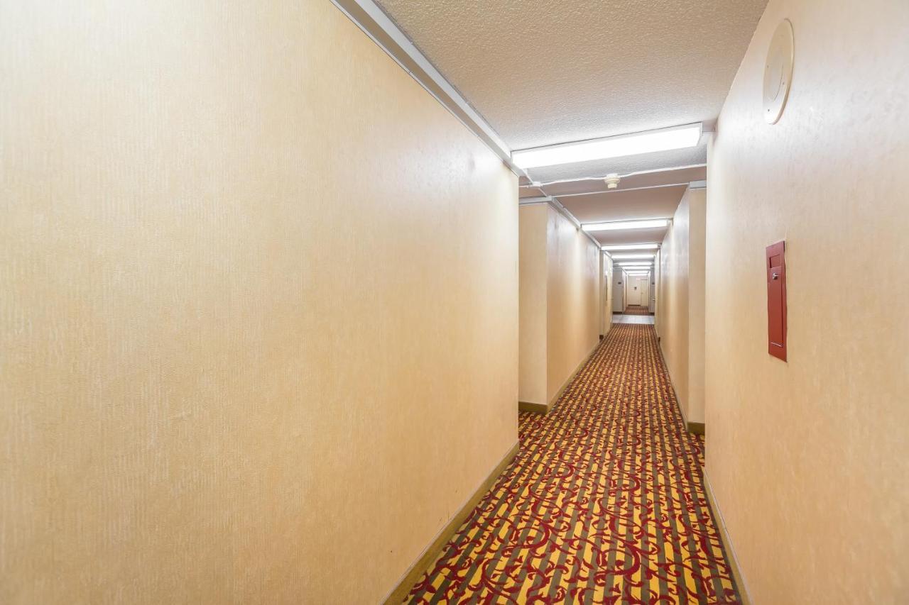 Toronto Furnished Living-Gerard Apartment Luaran gambar