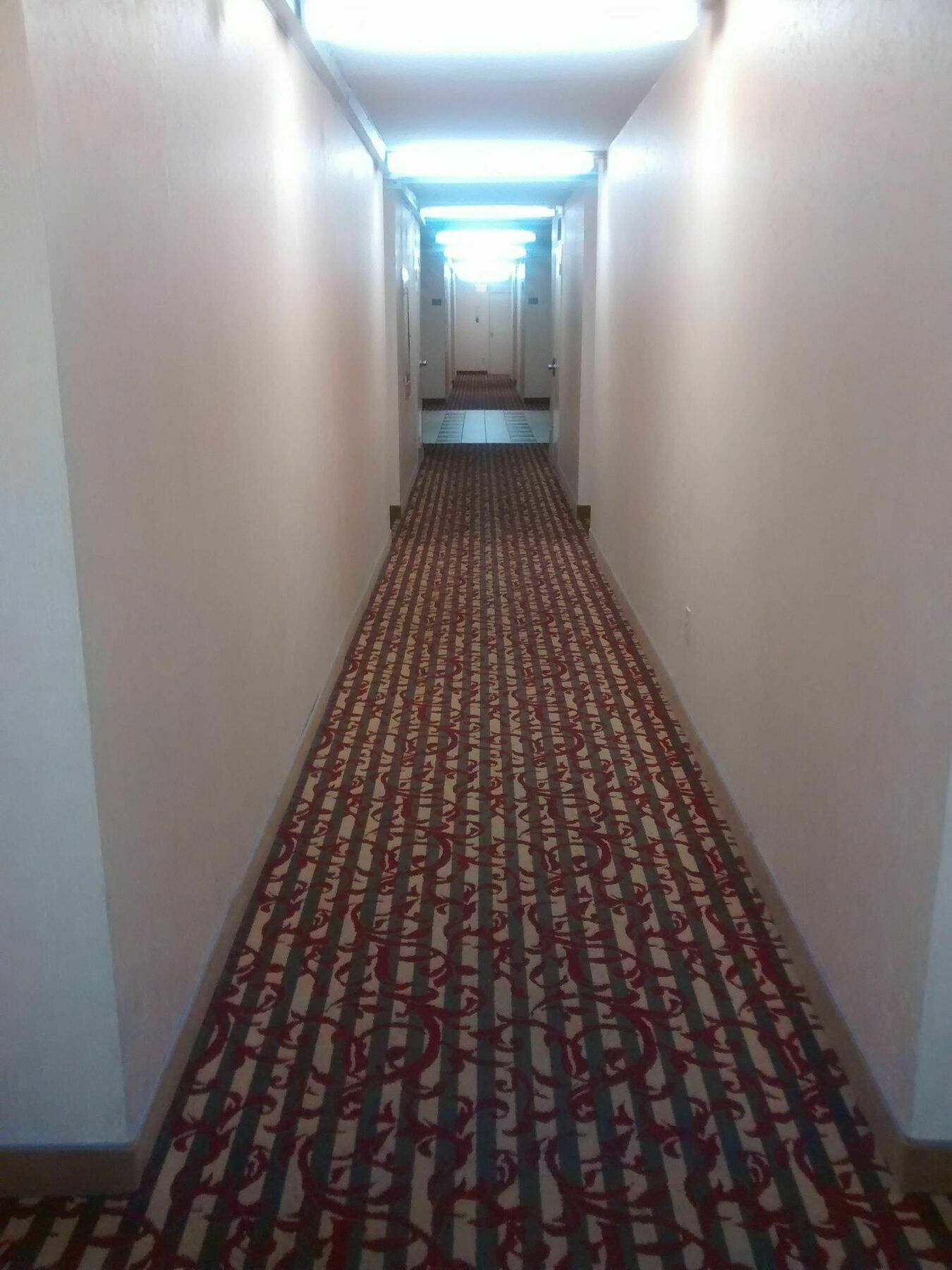 Toronto Furnished Living-Gerard Apartment Luaran gambar